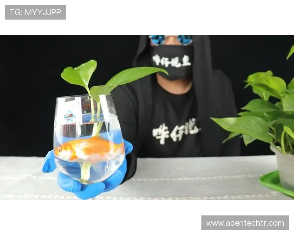 博鱼ag用户评价真实玩家的使用体验与建议分享