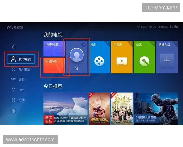 新手必看:迈博真人会员登录的注册技巧与使用指南